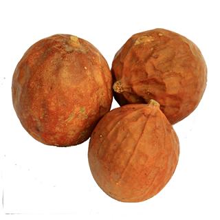 Trichosanthes kirilowii Maxim Drying Process